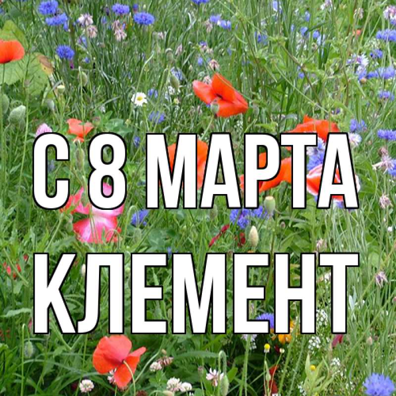 Картинка C 8 МАРТА, Клемент