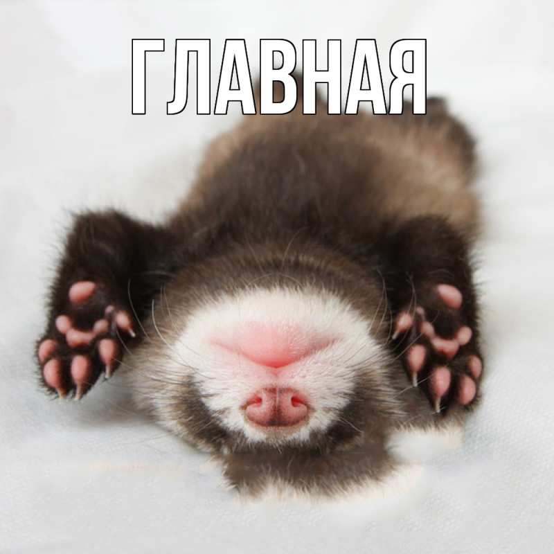 Картинка  с именем , настя