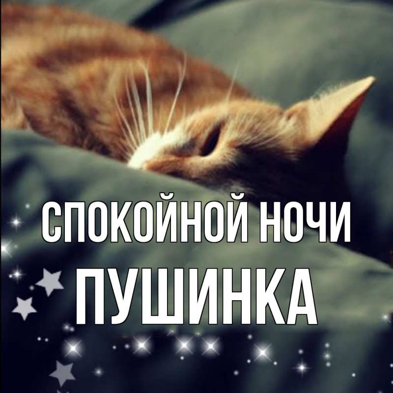 Картинка Спокойной ночи, пушинка