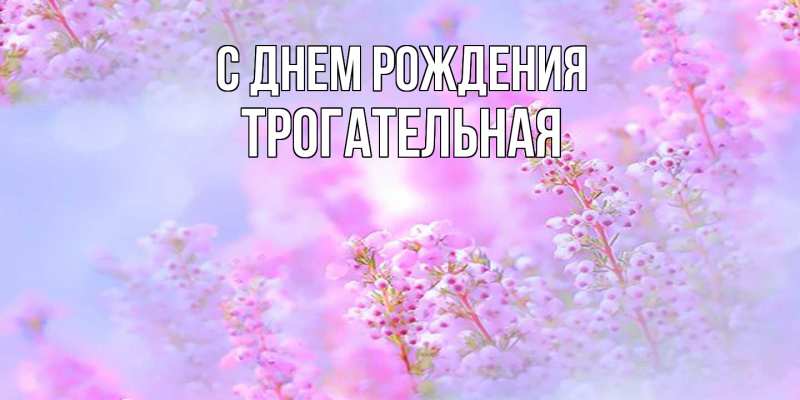 Картинка С днем рождения, Тpогательная