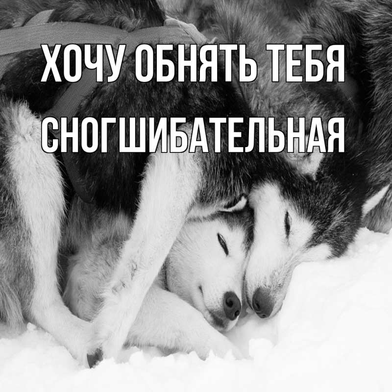 Картинка Хочу обнять тебя, Сногшибательная