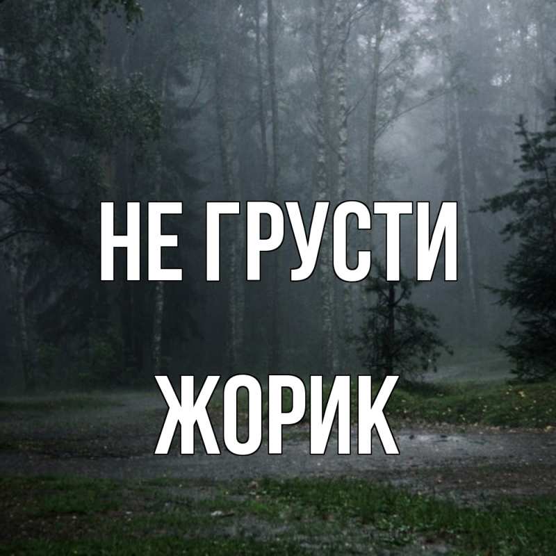 Картинка Не грусти, жорик