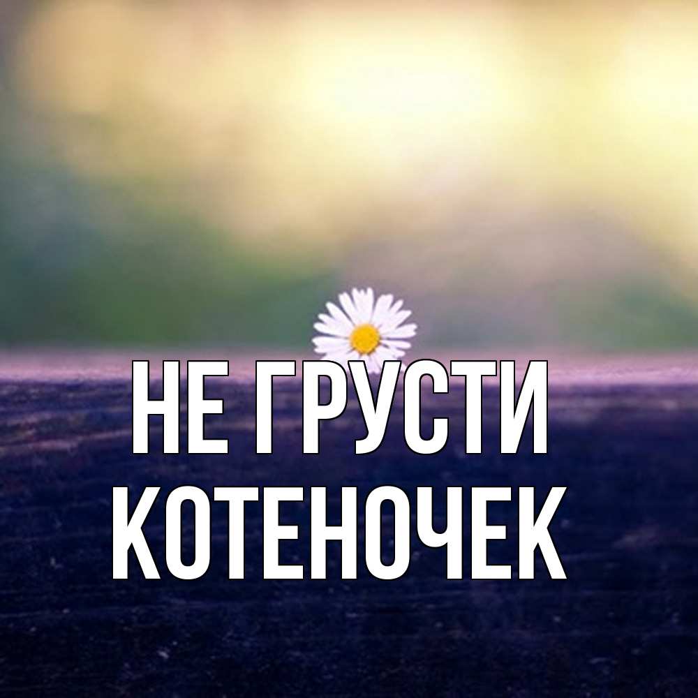 Открытка на каждый день с именем, Котеночек Не грусти красота Прикольная открытка с пожеланием онлайн скачать бесплатно 