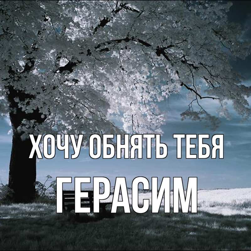 Картинка Хочу обнять тебя, Герасим