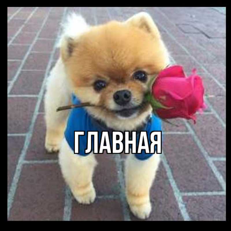 Картинка  с именем , Марьяна