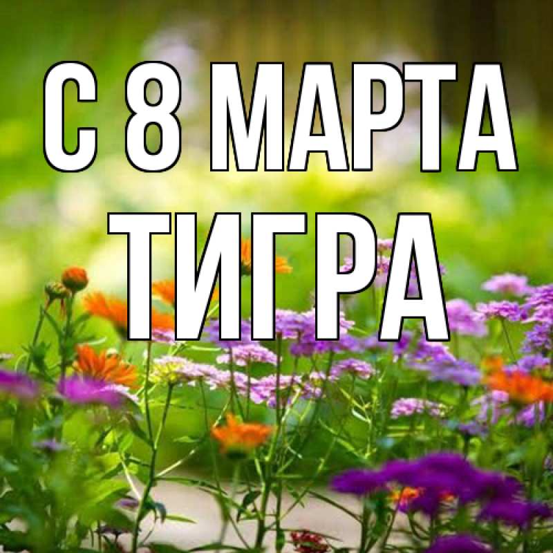 Картинка C 8 МАРТА, Тигpа