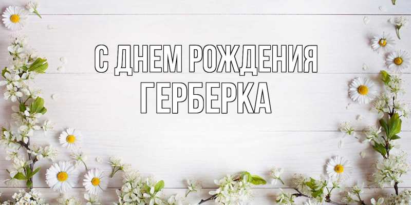 Картинка С днем рождения, Герберка