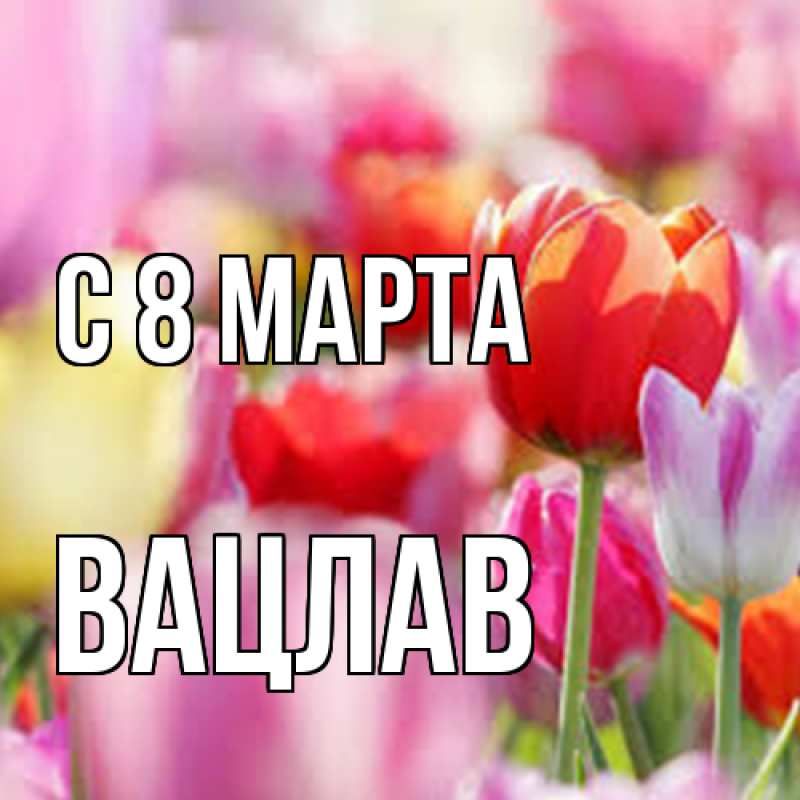 Картинка C 8 МАРТА, Вацлав