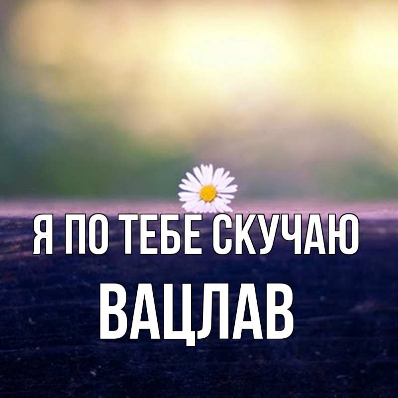 Картинка Я по тебе скучаю, Вацлав