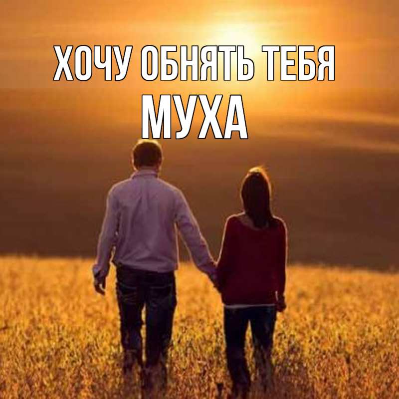 Картинка Хочу обнять тебя, Муха