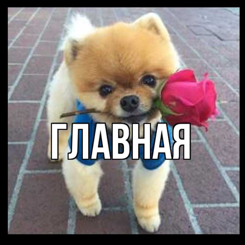 Картинка  с именем , Анна