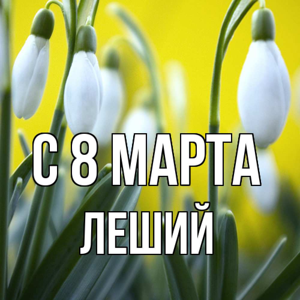 Открытка на каждый день с именем, Леший C 8 МАРТА весенние цветы Прикольная открытка с пожеланием онлайн скачать бесплатно 