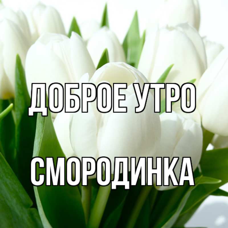 Картинка Доброе утро, смородинка