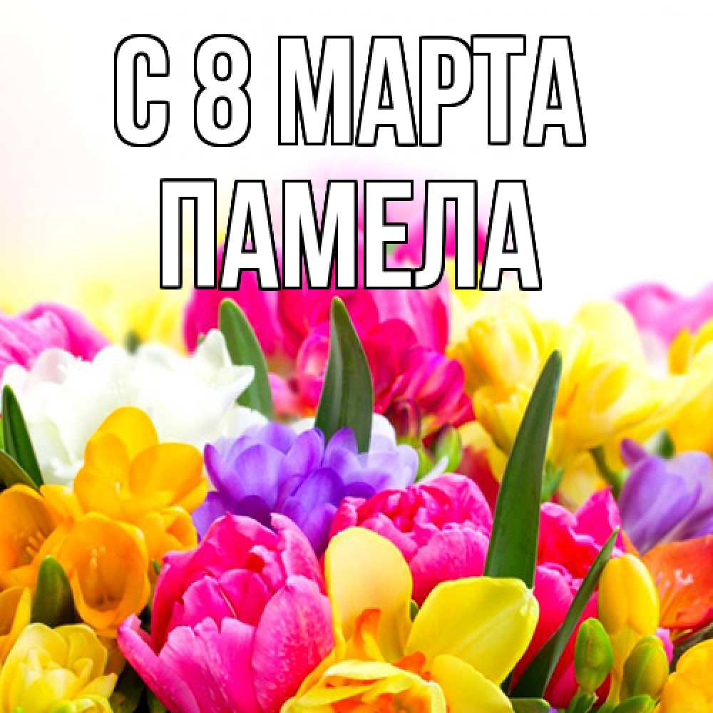 Открытка на каждый день с именем, Памела C 8 МАРТА тюльпаны Прикольная открытка с пожеланием онлайн скачать бесплатно 