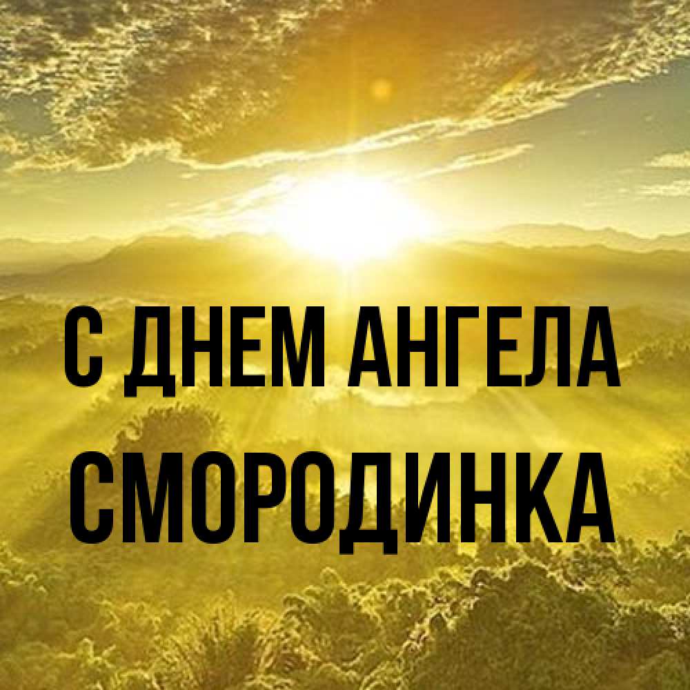 Открытка на каждый день с именем, смородинка С днем ангела леса и небо в желтом Прикольная открытка с пожеланием онлайн скачать бесплатно 