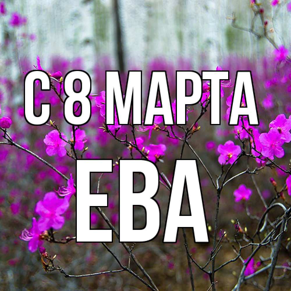 Открытка на каждый день с именем, Ева C 8 МАРТА дикие цветы Прикольная открытка с пожеланием онлайн скачать бесплатно 