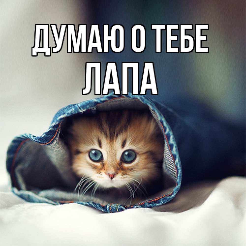 Открытка на каждый день с именем, Лапа Думаю о тебе мне без тебя плохо Прикольная открытка с пожеланием онлайн скачать бесплатно 