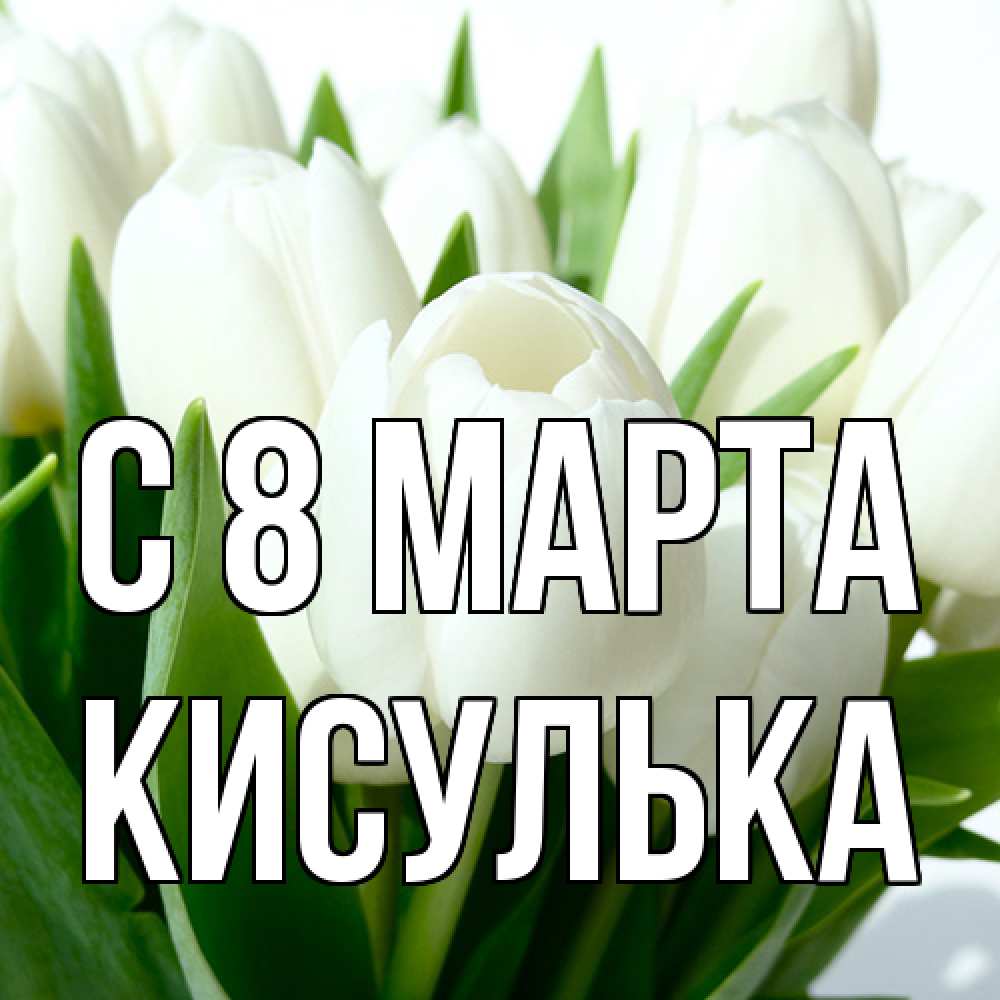 Открытка на каждый день с именем, кисулька C 8 МАРТА цветы Прикольная открытка с пожеланием онлайн скачать бесплатно 