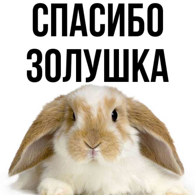 Картинка Спасибо, Золушка