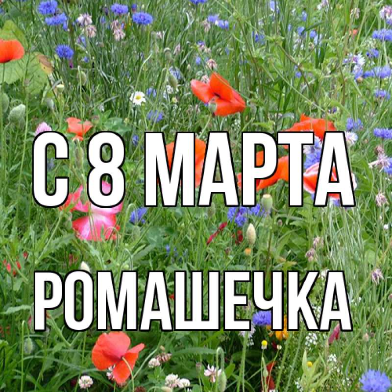 Картинка C 8 МАРТА, Ромашечка