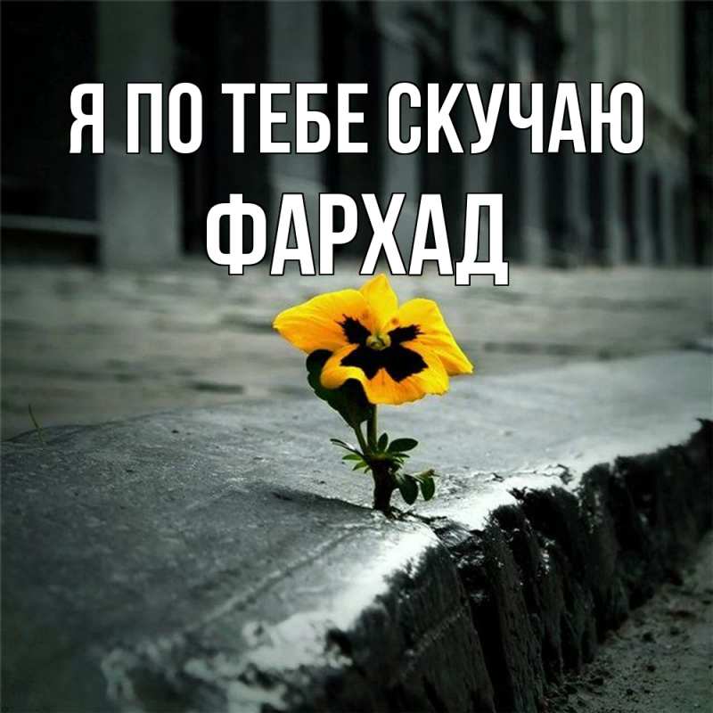 Картинка Я по тебе скучаю, Фархад