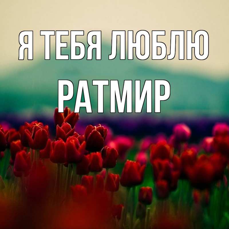 Картинка Я тебя люблю, Ратмир