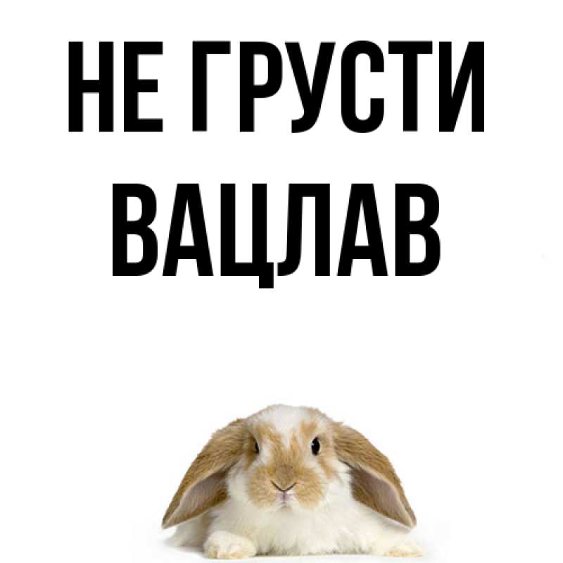 Картинка Не грусти, Вацлав