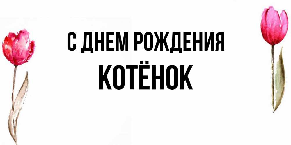 Открытка на каждый день с именем, Котёнок С днем рождения открытки акварелью с цветами Прикольная открытка с пожеланием онлайн скачать бесплатно 