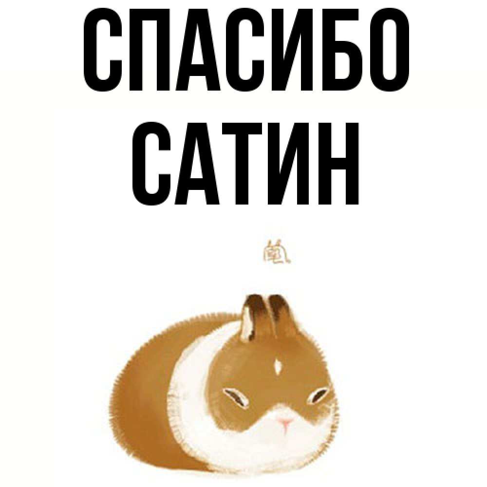 Открытка на каждый день с именем, Сатин Спасибо коричнево белый домашний питомец Прикольная открытка с пожеланием онлайн скачать бесплатно 
