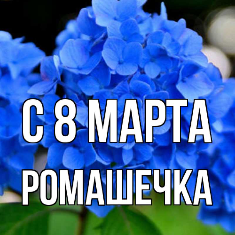 Картинка C 8 МАРТА, Ромашечка