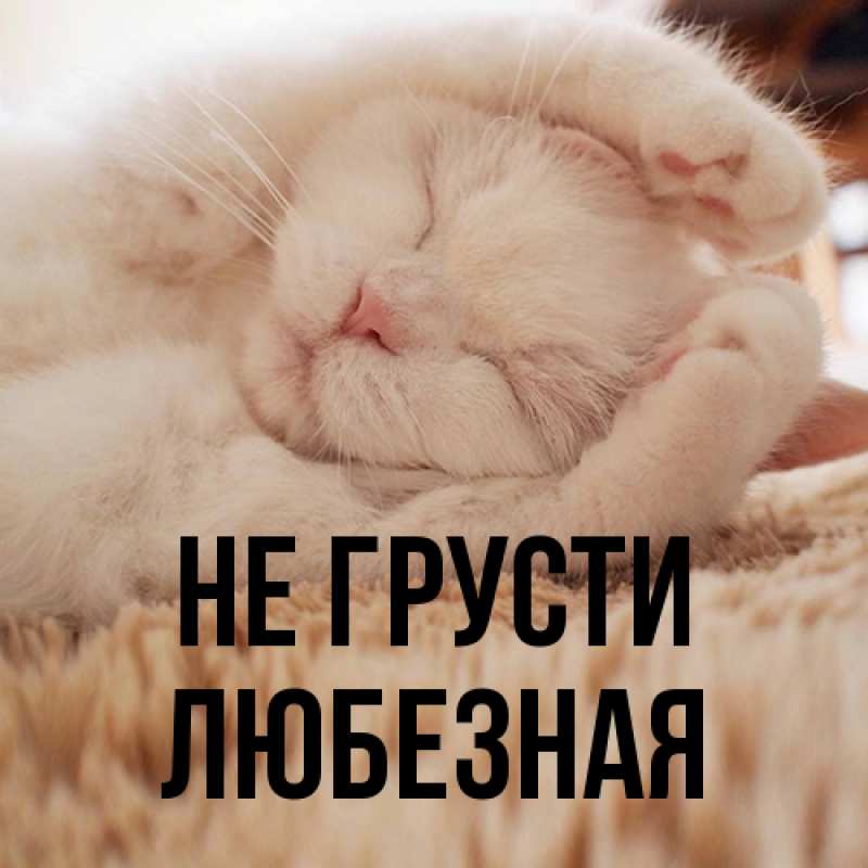 Картинка Не грусти, любезная