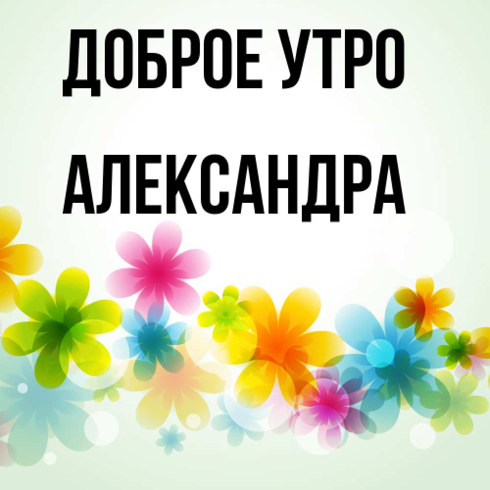 Открытка на каждый день с именем, Александра Доброе утро позитивные цветочки Прикольная открытка с пожеланием онлайн скачать бесплатно 