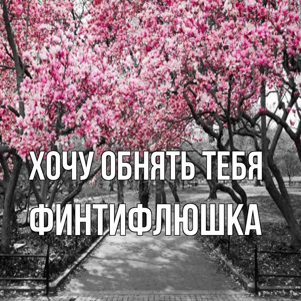 Открытка на каждый день с именем, финтифлюшка Хочу обнять тебя обработанное фото Прикольная открытка с пожеланием онлайн скачать бесплатно 