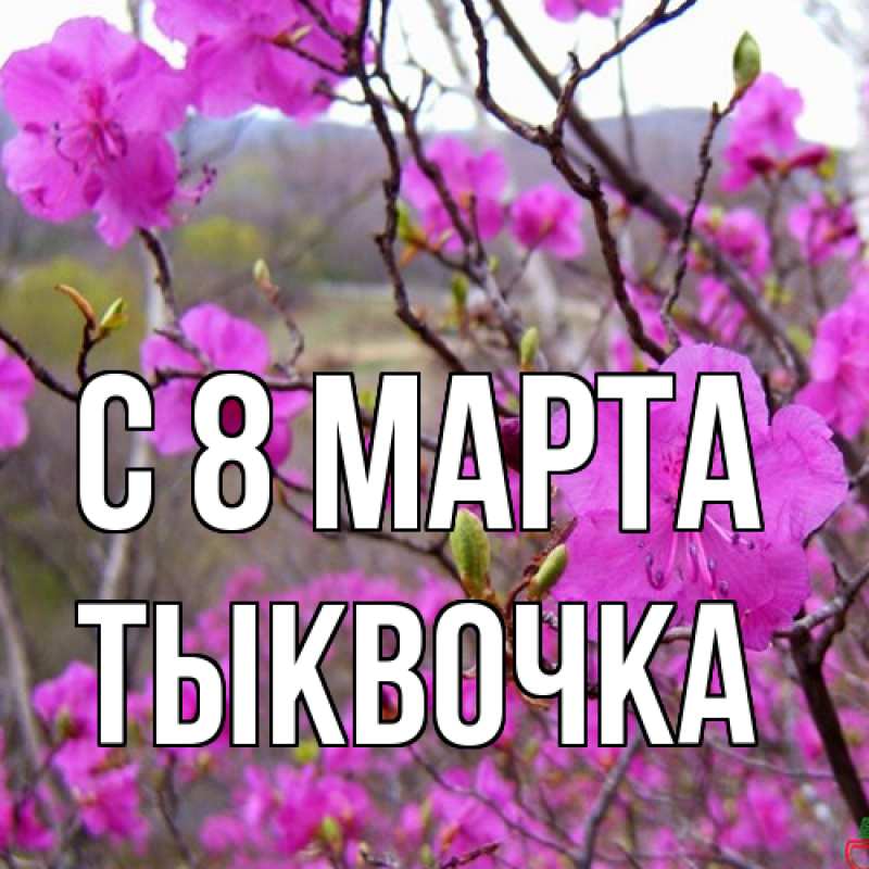 Открытка с именем, тыквочка, C 8 МАРТА