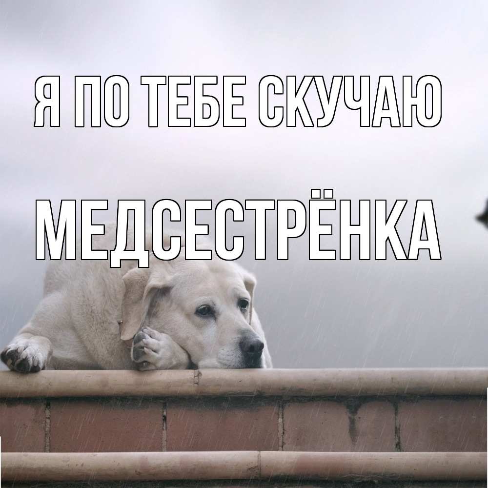 Открытка на каждый день с именем, Медсестрёнка Я по тебе скучаю ждет Прикольная открытка с пожеланием онлайн скачать бесплатно 