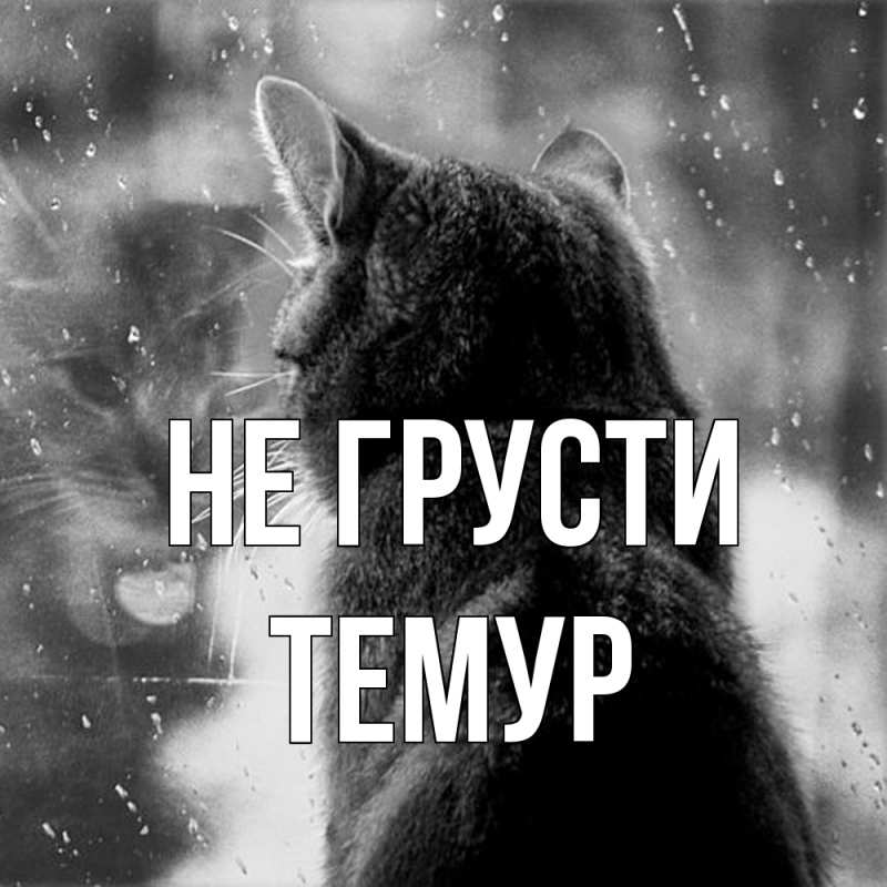 Картинка Не грусти, Темур