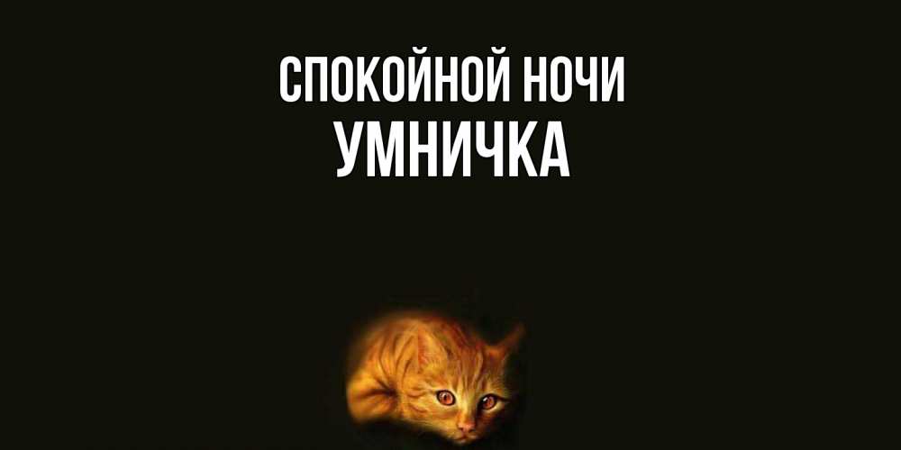 Открытка на каждый день с именем, Умничка Спокойной ночи кот Прикольная открытка с пожеланием онлайн скачать бесплатно 