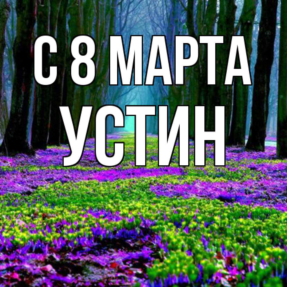 Открытка на каждый день с именем, Устин C 8 МАРТА фиолетовые цветы в лесу 1 Прикольная открытка с пожеланием онлайн скачать бесплатно 