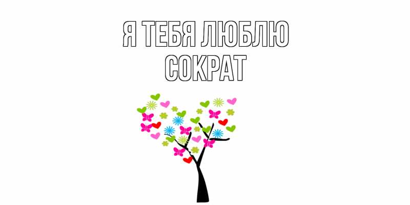 Картинка Я тебя люблю, Сократ