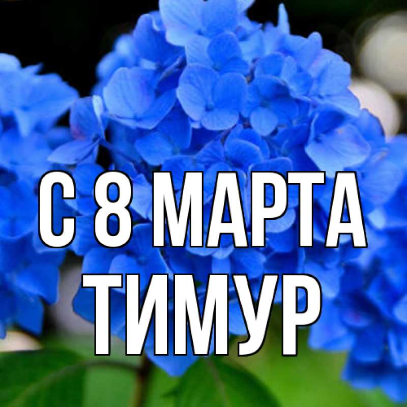 Картинка C 8 МАРТА, Тимур