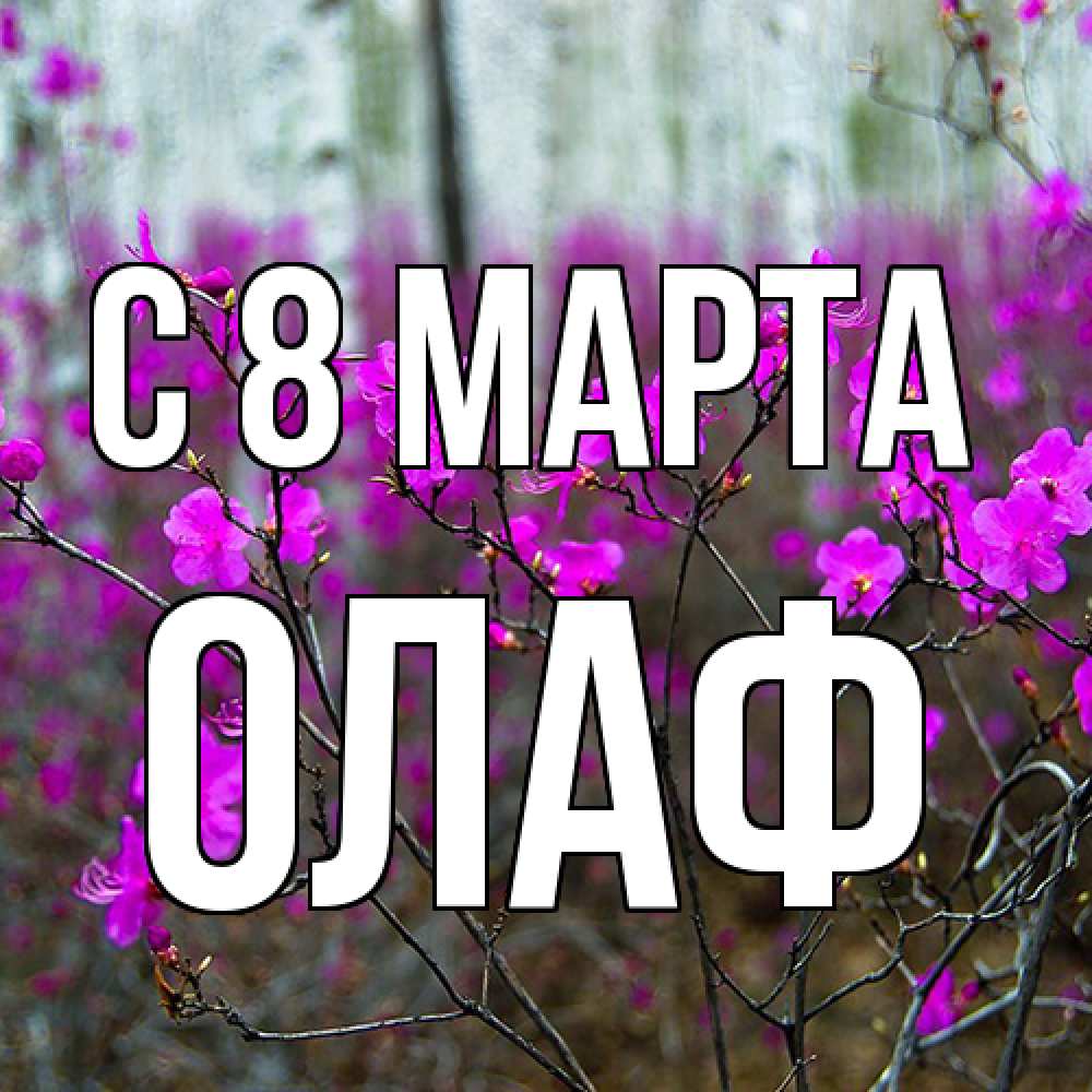 Открытка на каждый день с именем, Олаф C 8 МАРТА дикие цветы Прикольная открытка с пожеланием онлайн скачать бесплатно 