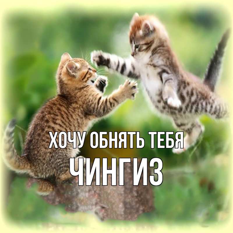 Картинка Хочу обнять тебя, Чингиз