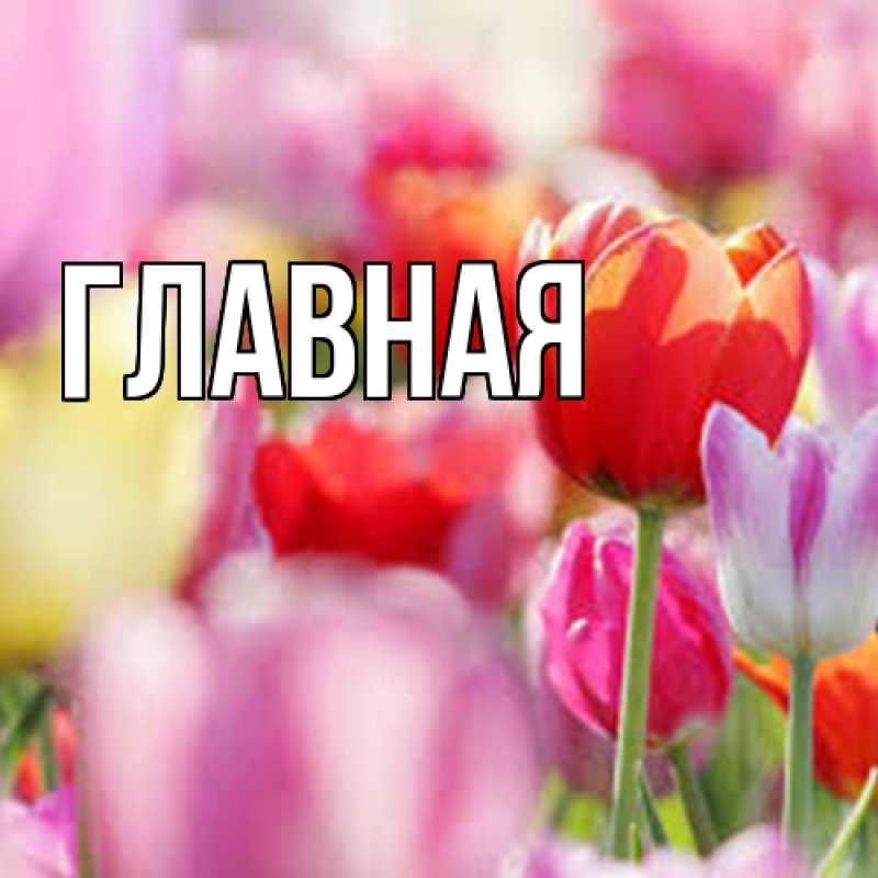 Картинка  с именем , настя