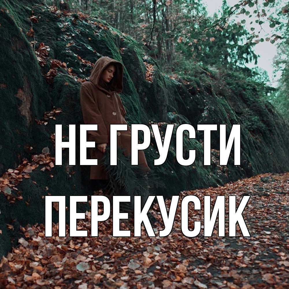 Открытка на каждый день с именем, Перекусик Не грусти осенний лес Прикольная открытка с пожеланием онлайн скачать бесплатно 
