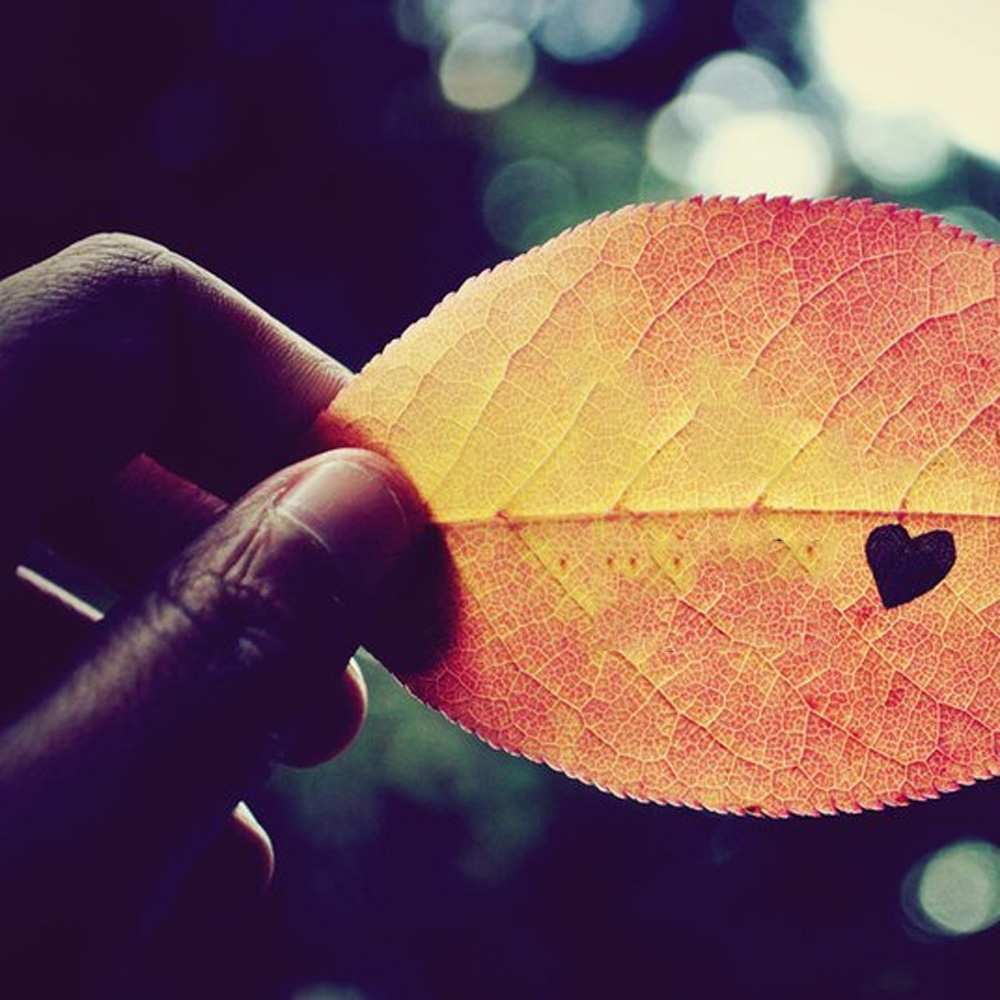 Открытка на каждый день с именем, Назар Я тебя люблю держу лист Прикольная открытка с пожеланием онлайн скачать бесплатно 