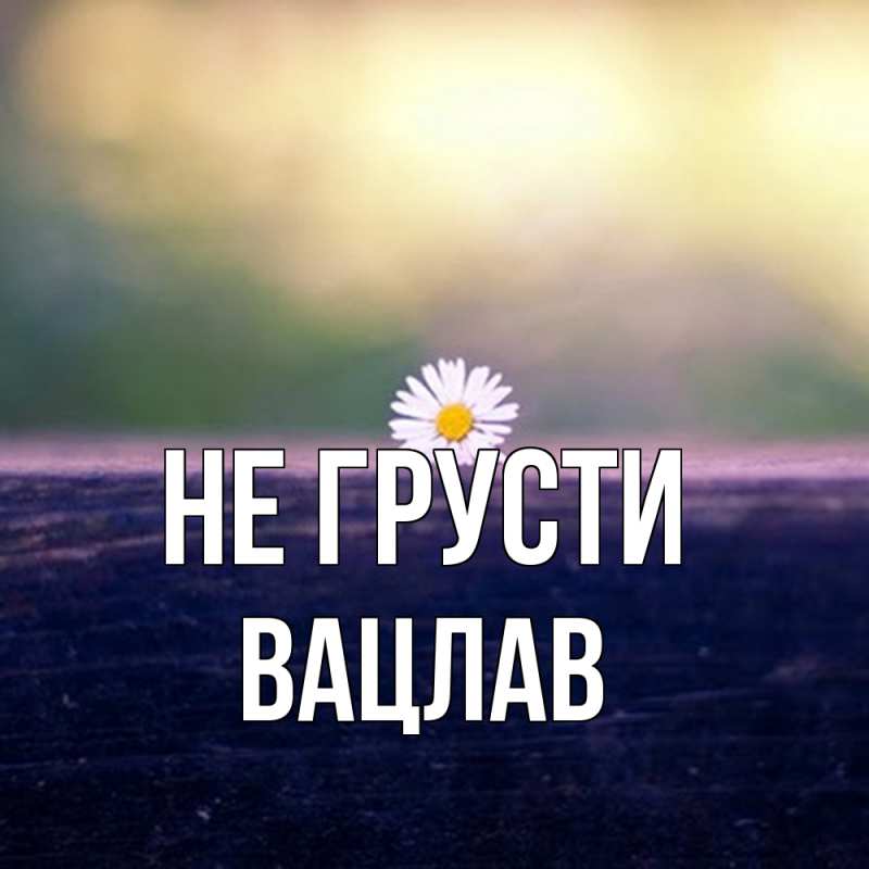Картинка Не грусти, Вацлав