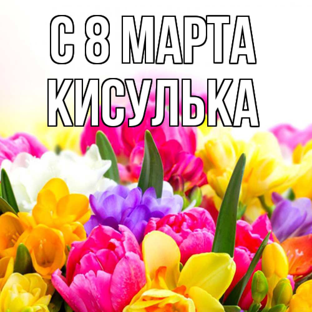 Открытка на каждый день с именем, кисулька C 8 МАРТА тюльпаны Прикольная открытка с пожеланием онлайн скачать бесплатно 