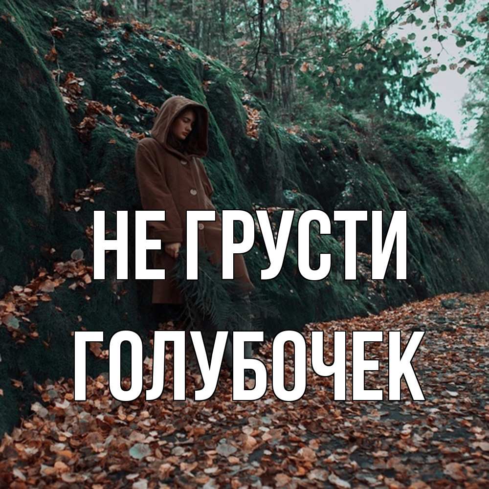 Открытка на каждый день с именем, Голубочек Не грусти осенний лес Прикольная открытка с пожеланием онлайн скачать бесплатно 