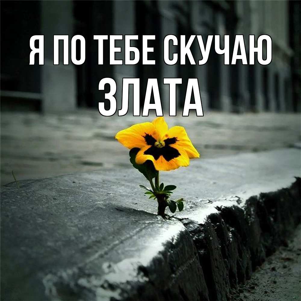 Открытка на каждый день с именем, Злата Я по тебе скучаю надеюсь будет лучше Прикольная открытка с пожеланием онлайн скачать бесплатно 