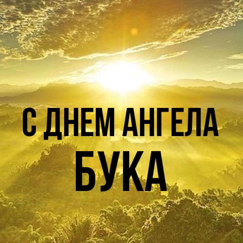 Открытка на каждый день с именем, Бука С днем ангела леса и небо в желтом Прикольная открытка с пожеланием онлайн скачать бесплатно 
